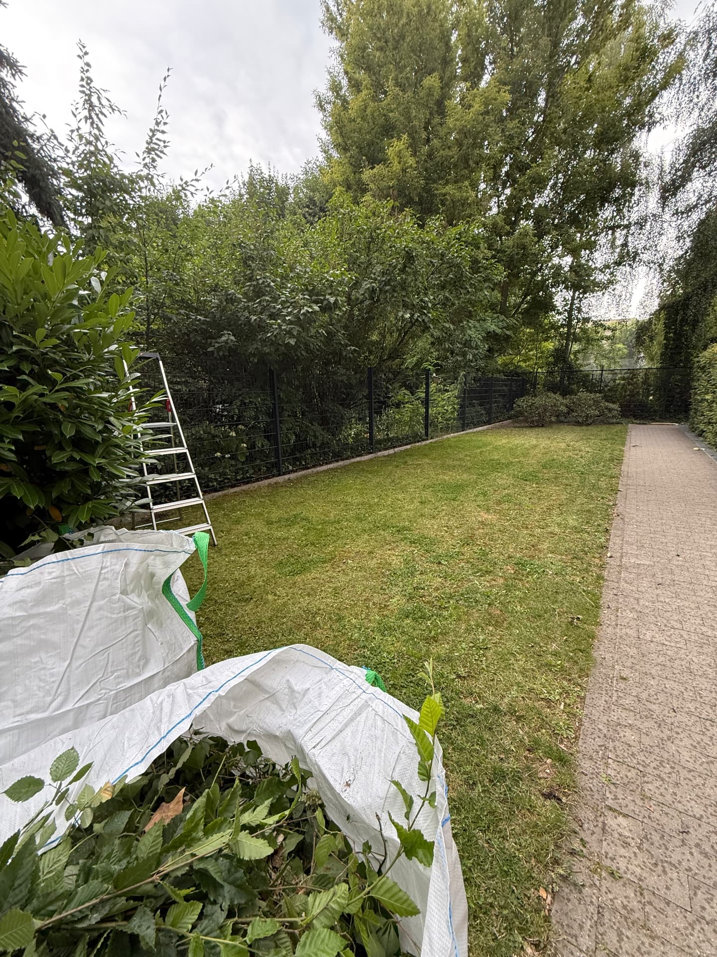 Arbeitsaufnahme aus einem Garten